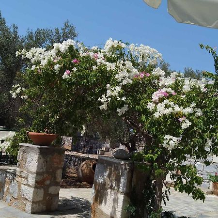 Апартаменти Charouda Stone Tower Xenonas Pyrgos Dirou Екстер'єр фото