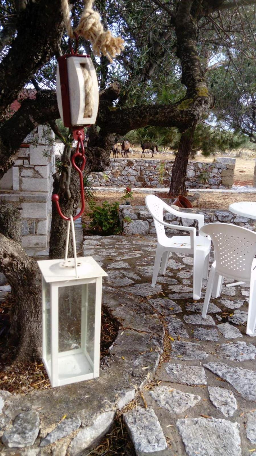 Апартаменти Charouda Stone Tower Xenonas Pyrgos Dirou Екстер'єр фото