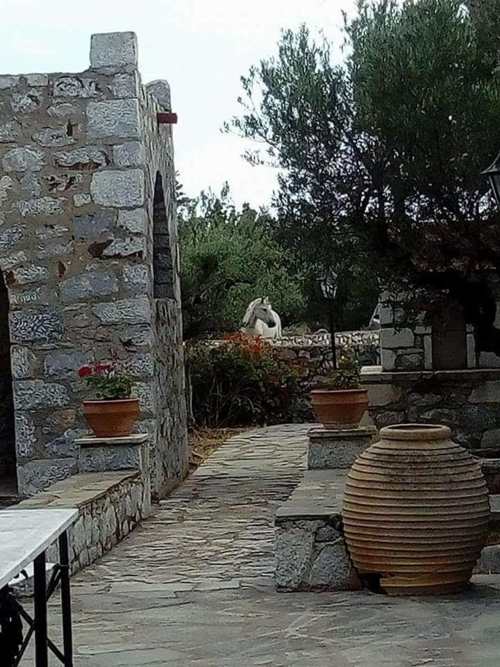 Апартаменти Charouda Stone Tower Xenonas Pyrgos Dirou Екстер'єр фото