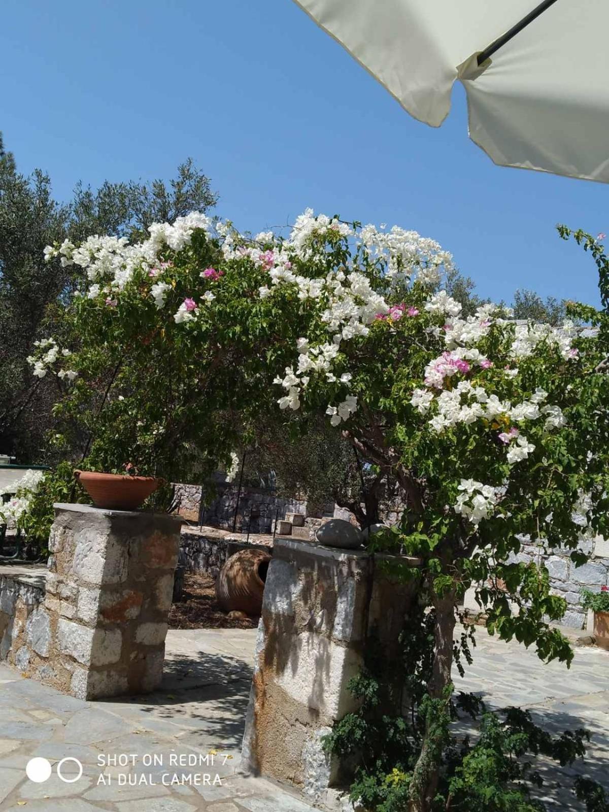Апартаменти Charouda Stone Tower Xenonas Pyrgos Dirou Екстер'єр фото
