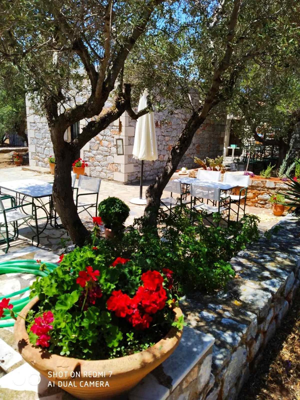 Апартаменти Charouda Stone Tower Xenonas Pyrgos Dirou Екстер'єр фото